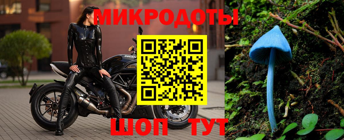 Свободный  Псилоцибиновые грибы MAGIC MUSHROOMS  Вход с VPN  цены   Псилоцибиновые грибы Psilocybine cubensis 
