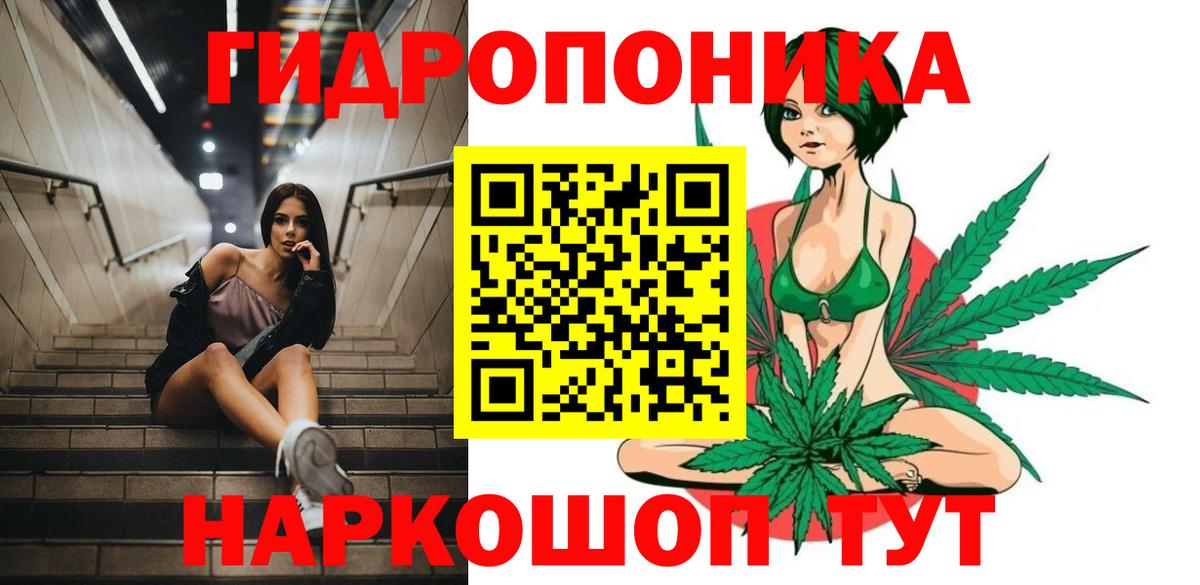 Шишки марихуана план Свободный